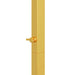 Trouwrand Goud 150 x 49,5 x 200 cm Staal