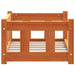 Hondenbed Wasbruin 55 x 45 x 28 cm Massief grenenhout