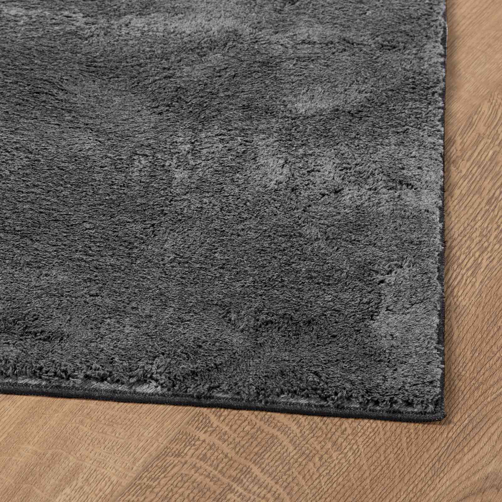 Medium pile zachte en wasbare tapijt HUARTE Antraciet Polyester