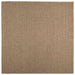 Vloerkleden Vierkant AGIRA Naturel 200 x 200 cm Polyester