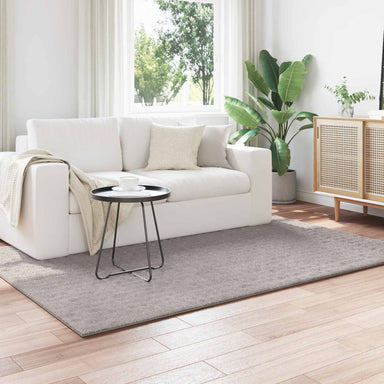 Vloerkleden Rechthoekig SIROLO Zand 170 x 120 cm Polyester