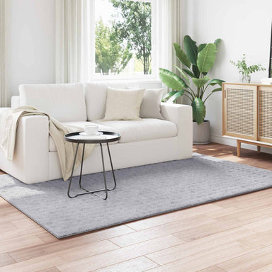 Vloerkleden Rechthoekig SIROLO Grijs 170 x 120 cm Polyester
