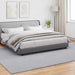 Vloerkleden Rechthoekig SIROLO Grijs 280 x 200 cm Polyester