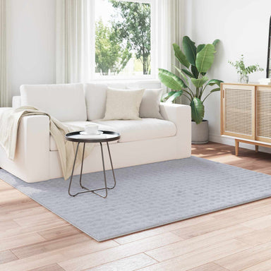 Vloerkleden Vierkant SIROLO Grijs 120 x 120 cm Polyester