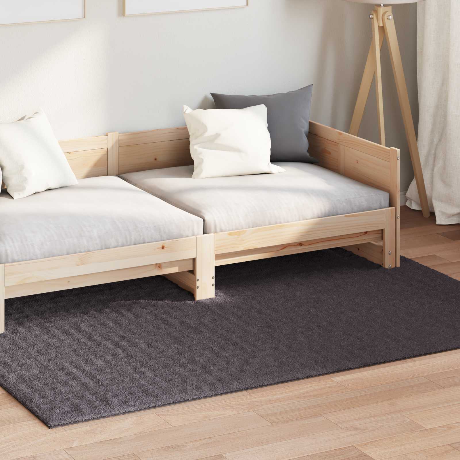 Vloerkleden Rechthoekig SIROLO Antraciet 170 x 120 cm Polyester