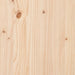 Bank Naturel 160 x 35 x 45 cm Massief grenenhout