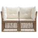 Tuinbank 2-Aantal zitplaatsen Beige poly rattan