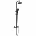 Thermostatisch Douchesysteem Set Zwart 27 x 46 x 123 cm RVS 201