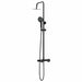 Thermostatisch Douchesysteem Set Zwart 27 x 46 x 123 cm RVS 201