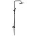 Thermostatisch Douchesysteem Set Zwart 27 x 46 x 123 cm RVS 201