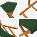 Ligstoel 4 pcs 3 Positie massief eucalyptushout Groen