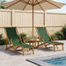 Opvouwbare zonnebed 2 pcs 3 Positie Massief Eucalyptus Hout