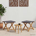 Ligstoel 2 pcs massief eucalyptushout Grijs