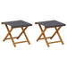 Ligstoel 2 pcs massief eucalyptushout Grijs