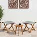 Ligstoel 2 pcs massief eucalyptushout Meerkleurig