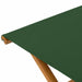 Ligstoel 2 pcs massief eucalyptushout Groen