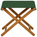 Ligstoel 2 pcs massief eucalyptushout Groen