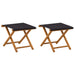 Ligstoel 2 pcs massief eucalyptushout Zwart