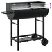 Houtskoolgrill 96,5 x 42,5 x 88,5 cm Zwart