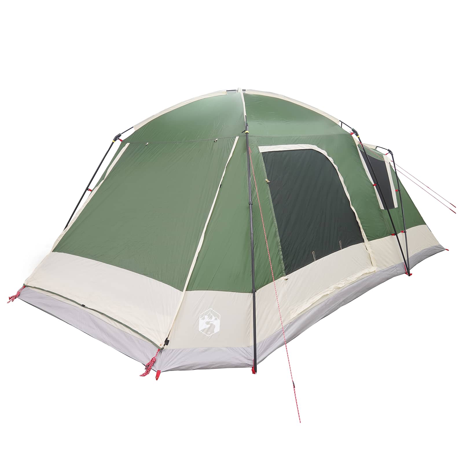 Huisje Tent met dak Groen 12-Persoons Polyester en staal
