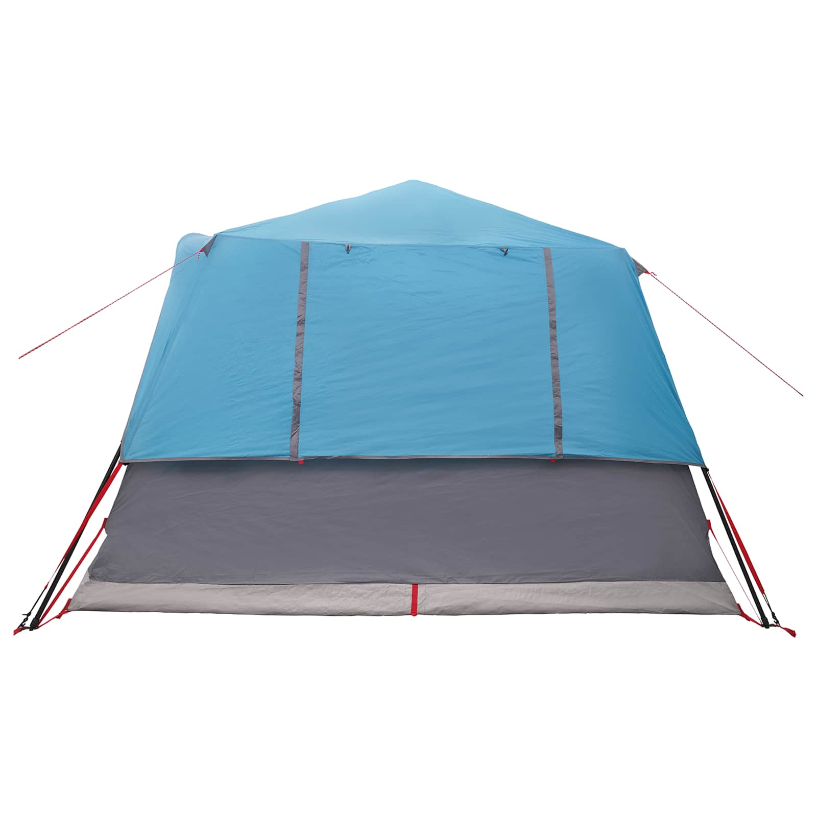 Directe Tent 10-persoons Blauw Polyester en staal