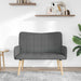 2-Zits Sofa Donkergrijs 115 x 61 x 87 cm Stof