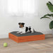 Hondenbed Wasbruin 51,5 x 44 x 9 cm Massief Vurenhout