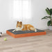 Hondenbed Wasbruin 101,5 x 74 x 9 cm Massief Vurenhout