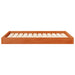 Hondenbed Wasbruin 101,5 x 74 x 9 cm Massief Vurenhout