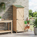 Tuinschuur Naturel 59,5 x 56 x 176,5 cm Massief Vurenhout