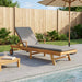 Ligstoel met Kussen 100% Polyester Massief Teak