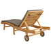Ligstoel Polyester Bruin en Taupe