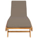 Ligstoel Polyester Bruin en Taupe