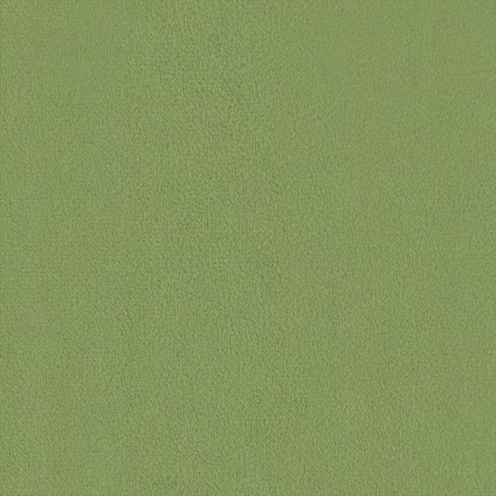 Bankstel 2 st Lichtgroen Fluweel