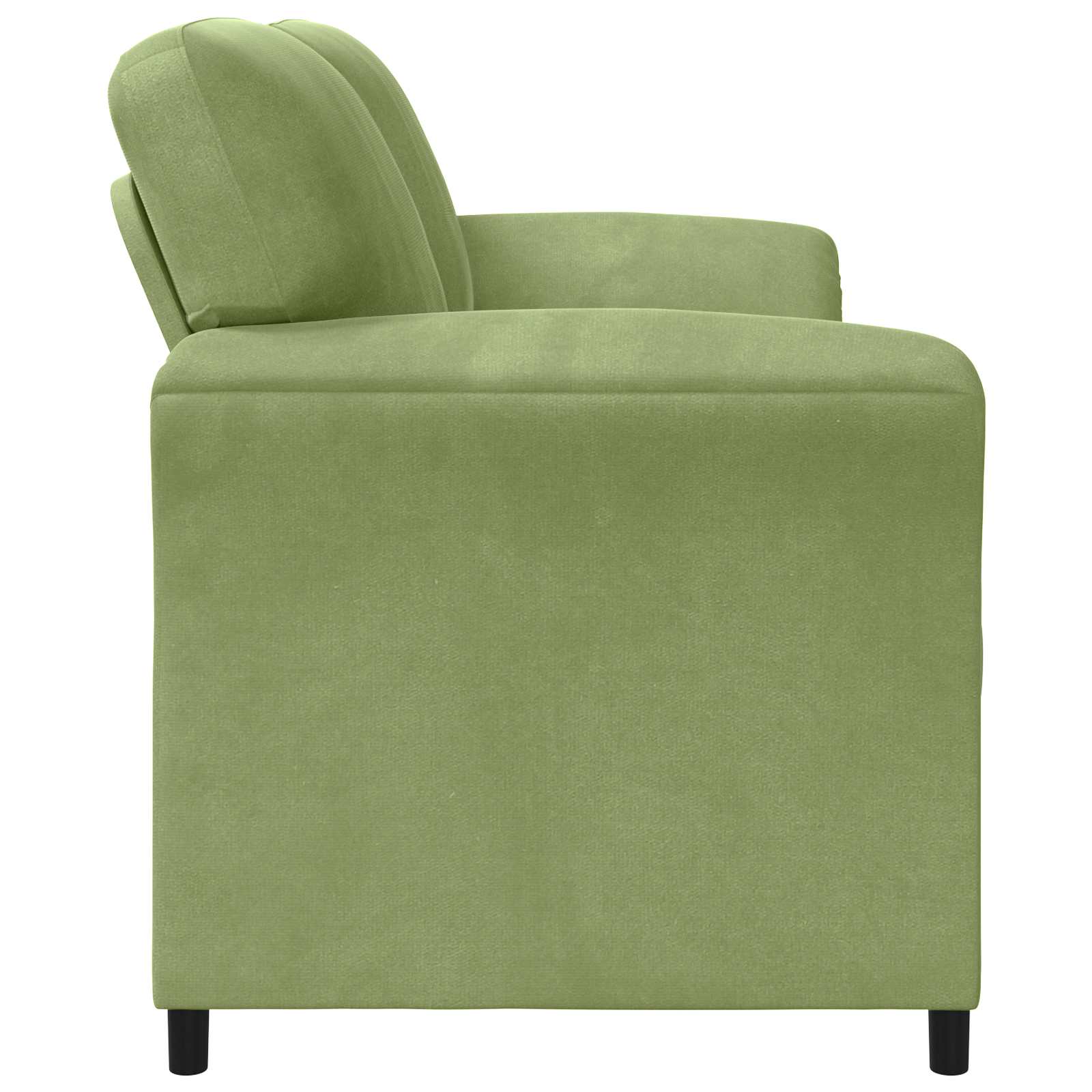 2-Zits Sofa Lichtgroen 138 x 83 x 95 cm Fluweel