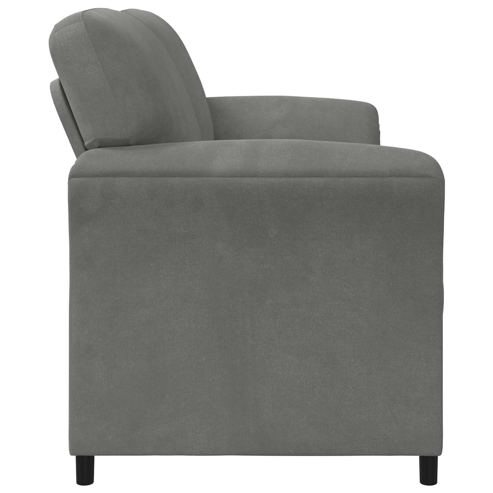 2-Zits Sofa Donkergrijs 158 x 83 x 95 cm Fluweel