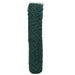 Draadgaashek Groen 2 x 10 m Staal