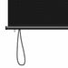 Rolgordijn Zwart 60 x 250 cm Stof en Aluminium