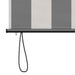 Rolgordijn Antraciet en Wit 100 x 250 cm Stof en Aluminium