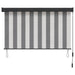 Rolgordijn Antraciet en Wit 100 x 250 cm Stof en Aluminium