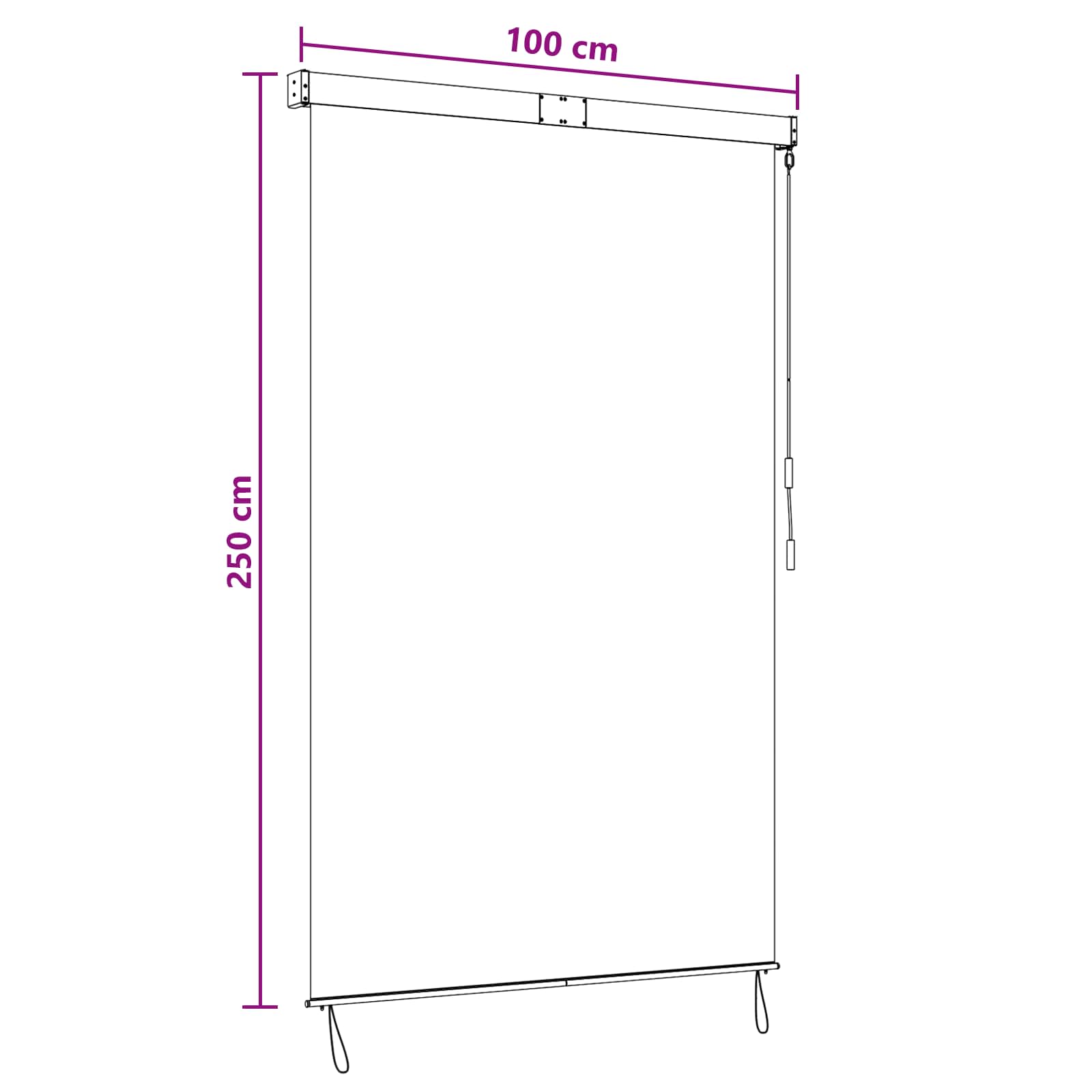 Rolgordijn Antraciet en Wit 100 x 250 cm Stof en Aluminium