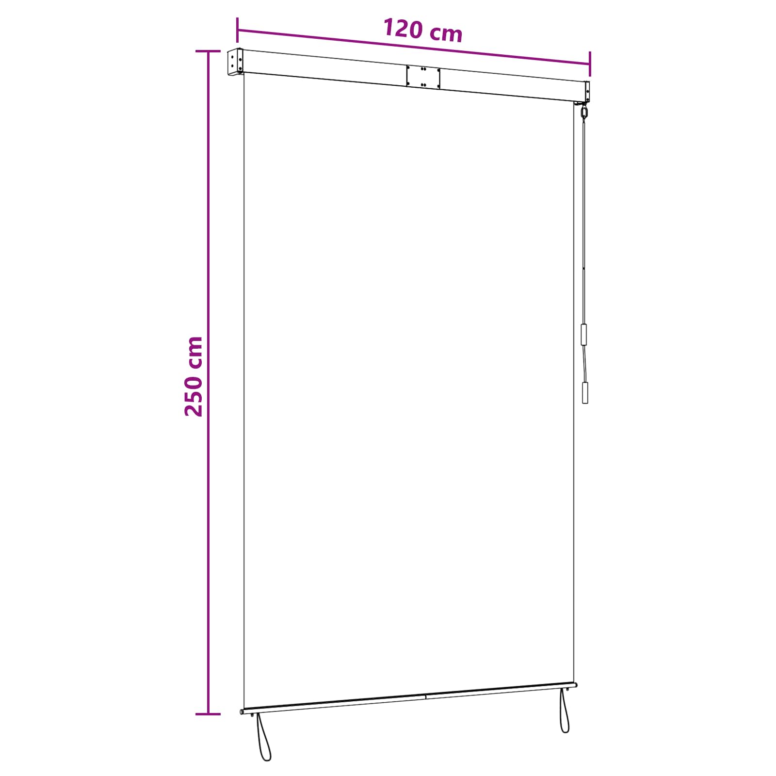 Rolgordijn Antraciet en Wit 120 x 250 cm Stof en Aluminium