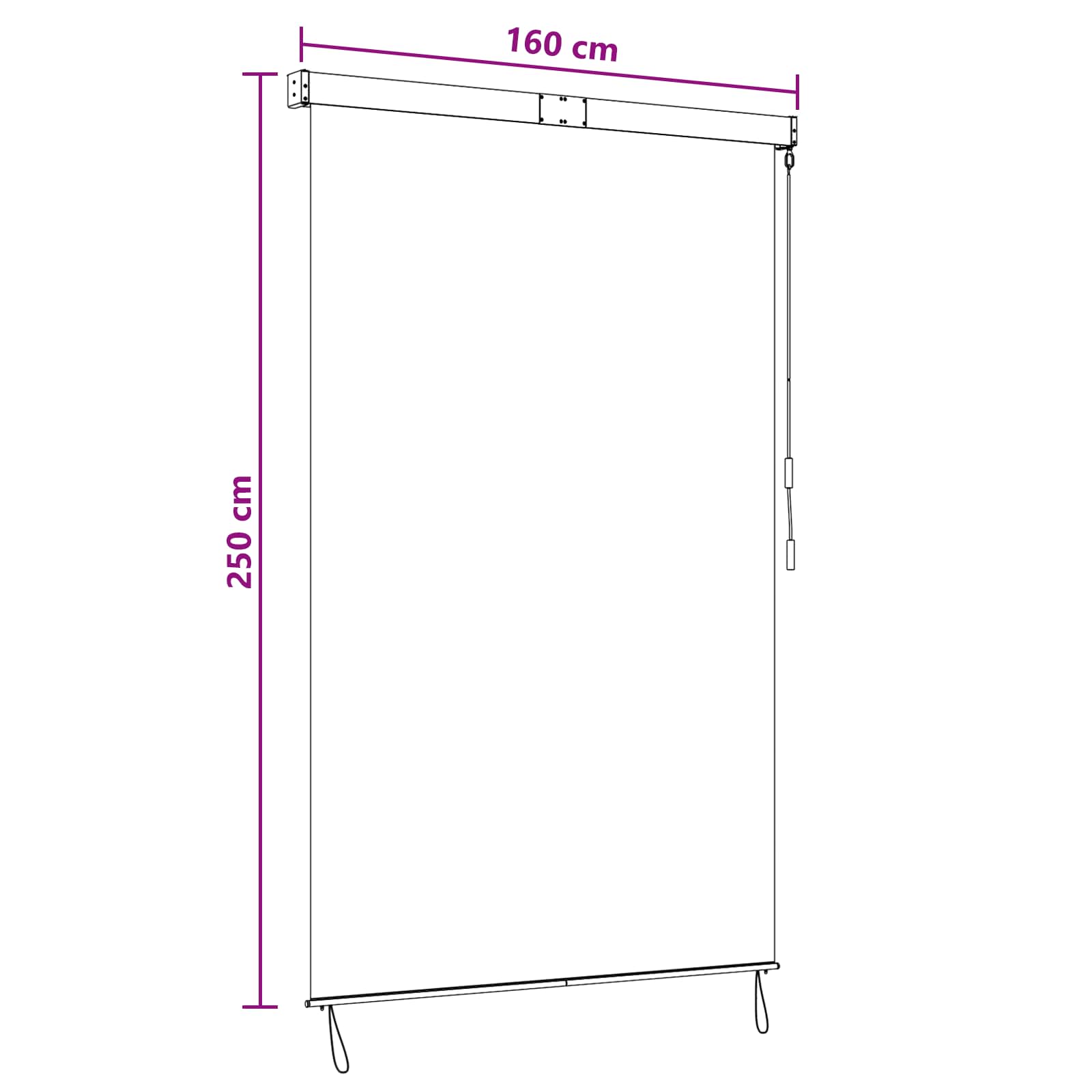 Rolgordijn Antraciet en Wit 160 x 250 cm Stof en Aluminium