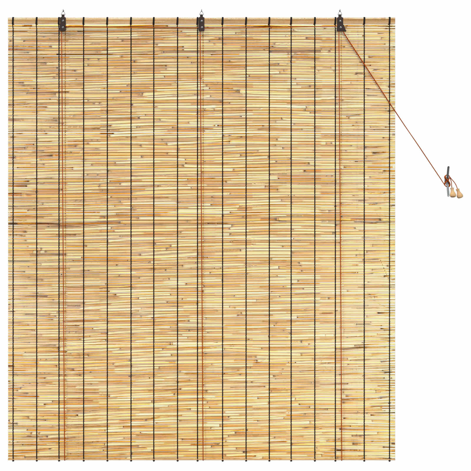 Rolgordijn Naturel 140 x 160 cm Riet