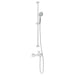 Doucheset Chroom 150 cm Roestvrij staal