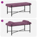 Knop-gestept Bankje met Kussens Paars 110 x 40 x 46 cm fluweel