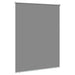 Buitenrolgordijn UV-bescherming Lichtgrijs 185 x 140 cm (B x H)