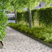 Tuinrand 50 st 103 x 15 cm metaal Olijfgroen