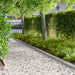 Tuinrand 20 st 103 x 15 cm metaal Zilverkleurig