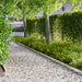 Tuinrand 10 st 103 x 15 cm metaal Zilverkleurig